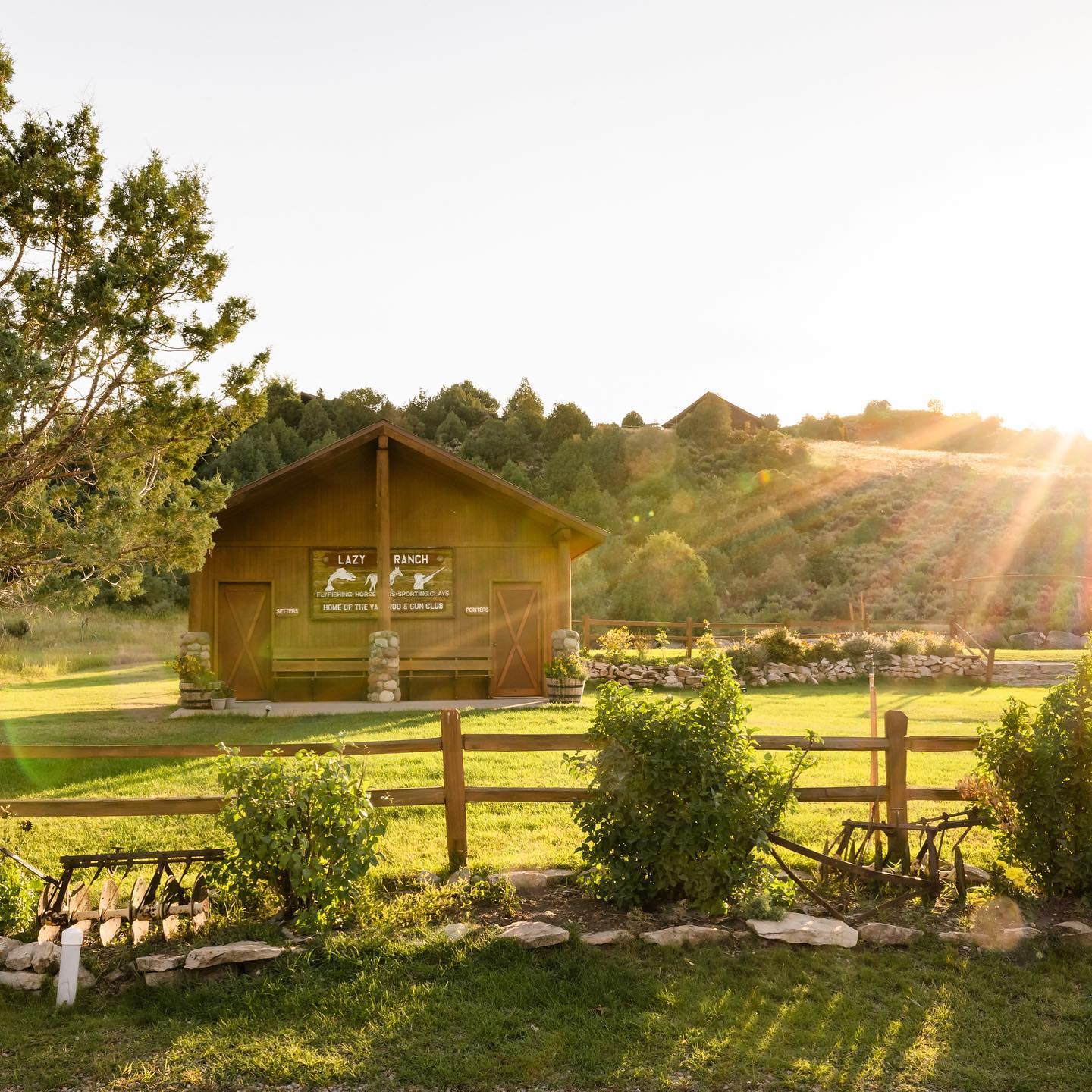 Lazy J Ranch in Wolcott, Colorado, glowing in late-afternoon sunlight